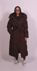 Hooded Puffer