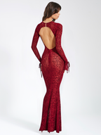 Waylynn Burnout Velvet Detail Mesh Backless Maxi Dress