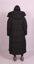 Hooded Puffer
