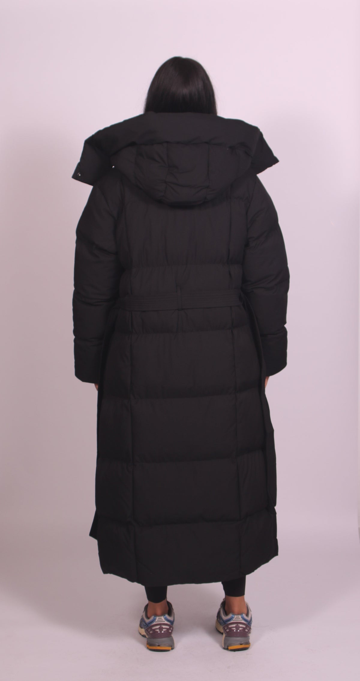Hooded Puffer